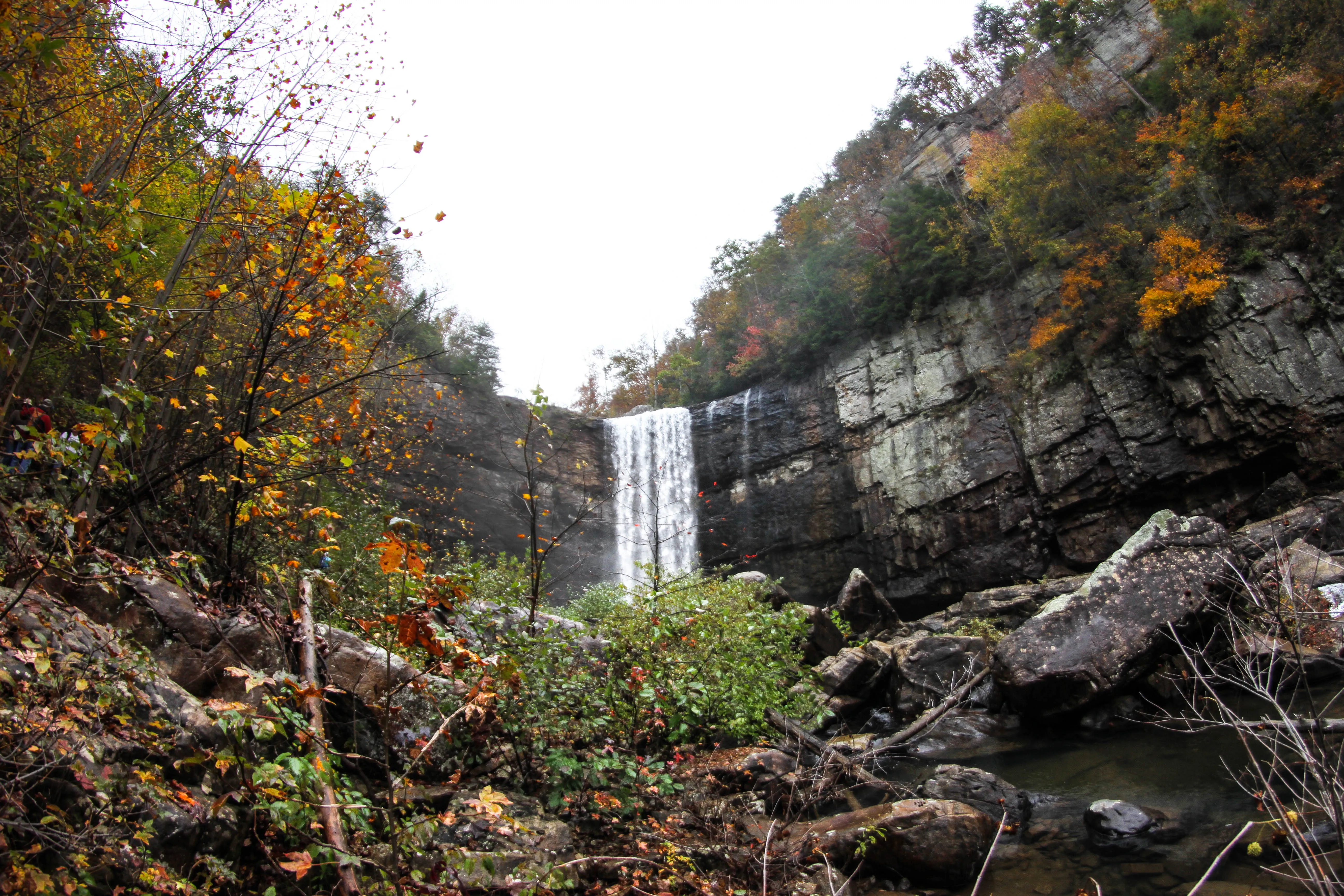 Lula Lake Land Trust