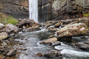 Explore Lula Lake Land Trust