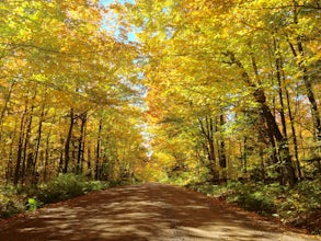 Drive Superior National Forest's Fall Color Route 