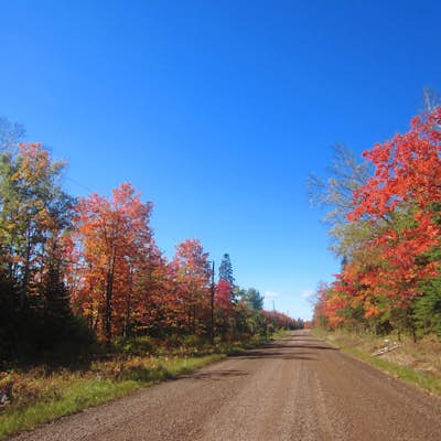 Drive Superior National Forest's Fall Color Route 