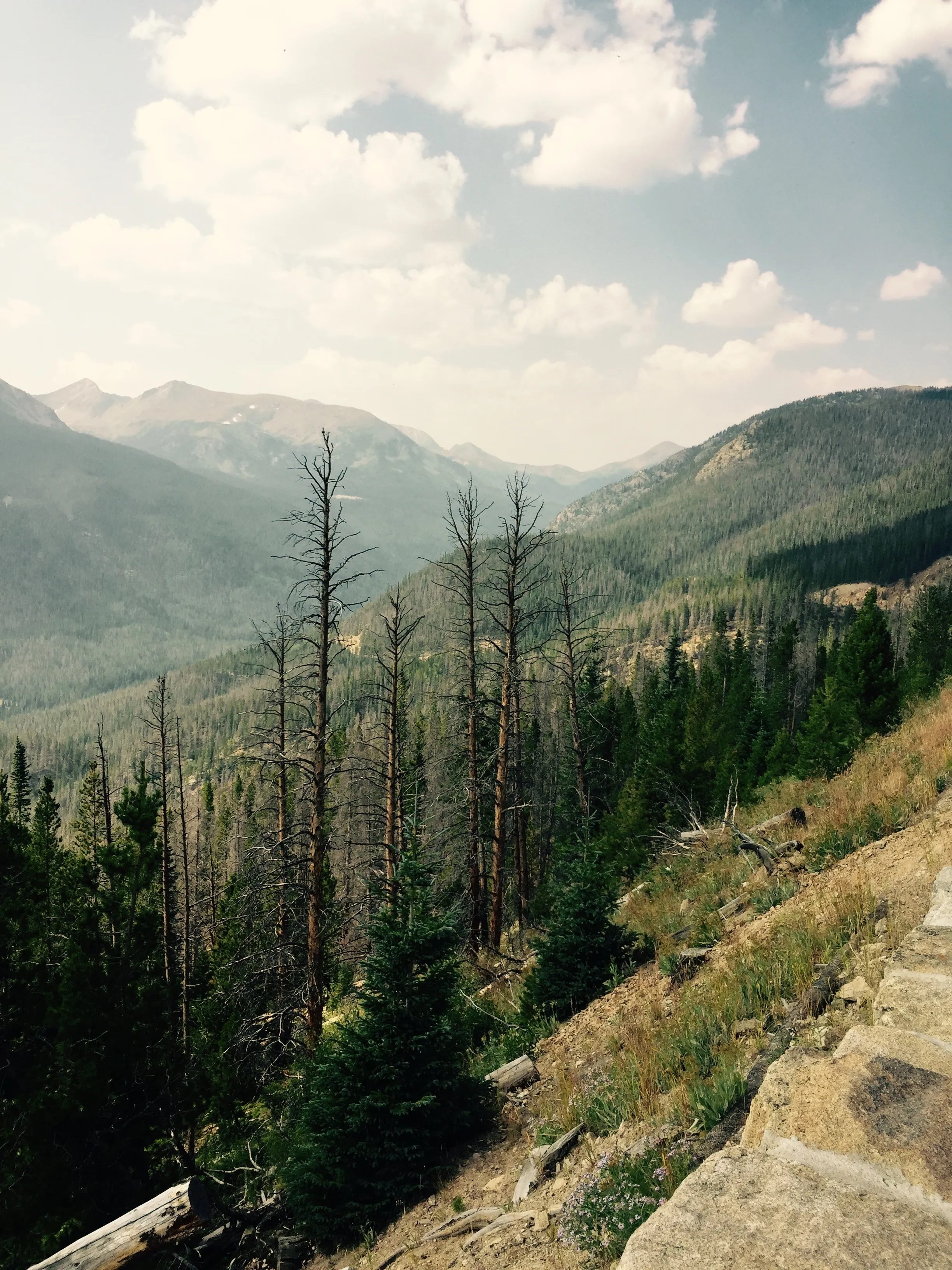 Monarch Lake Loop