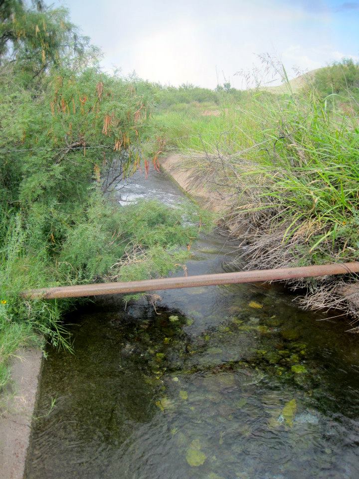 San Solomon Springs