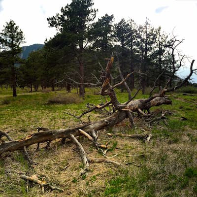 Hike the Enchanted Mesa/McClintock Trail
