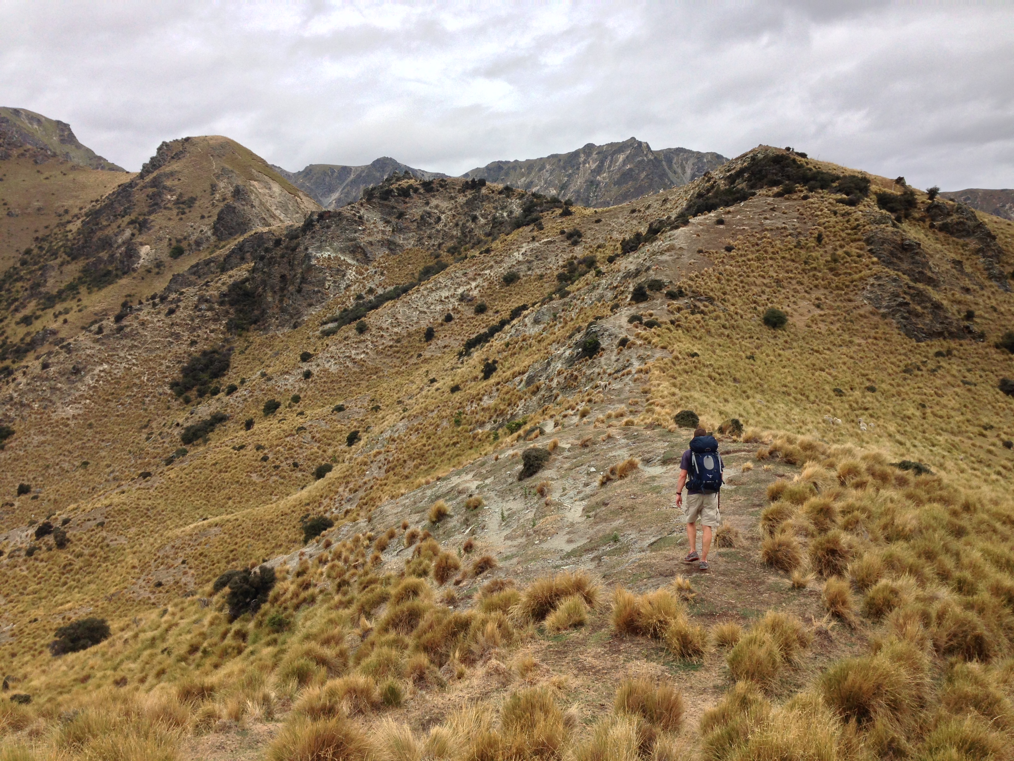 Hike the Breast Hill Track to Pakituhi Hut 