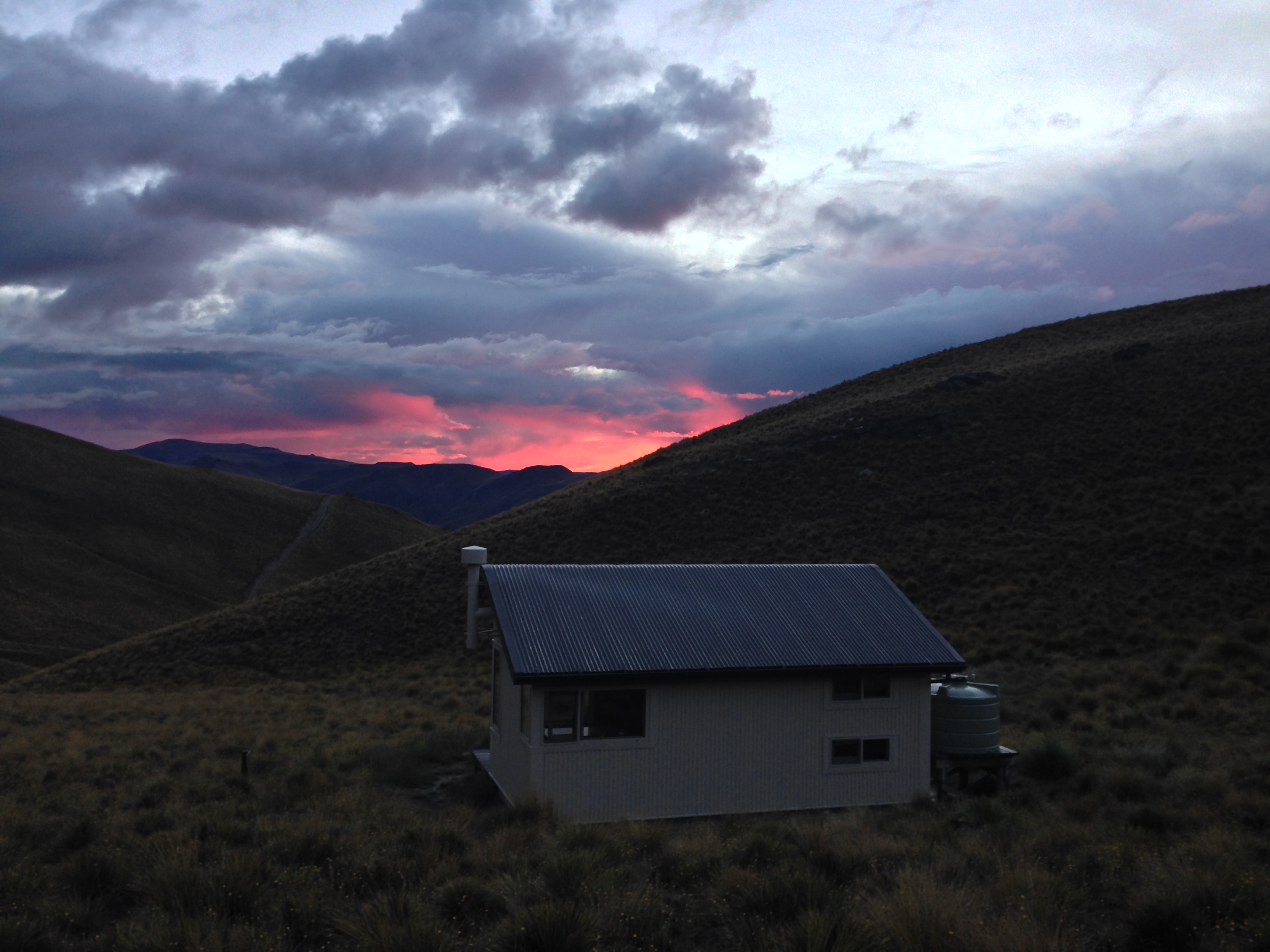 Hike the Breast Hill Track to Pakituhi Hut 