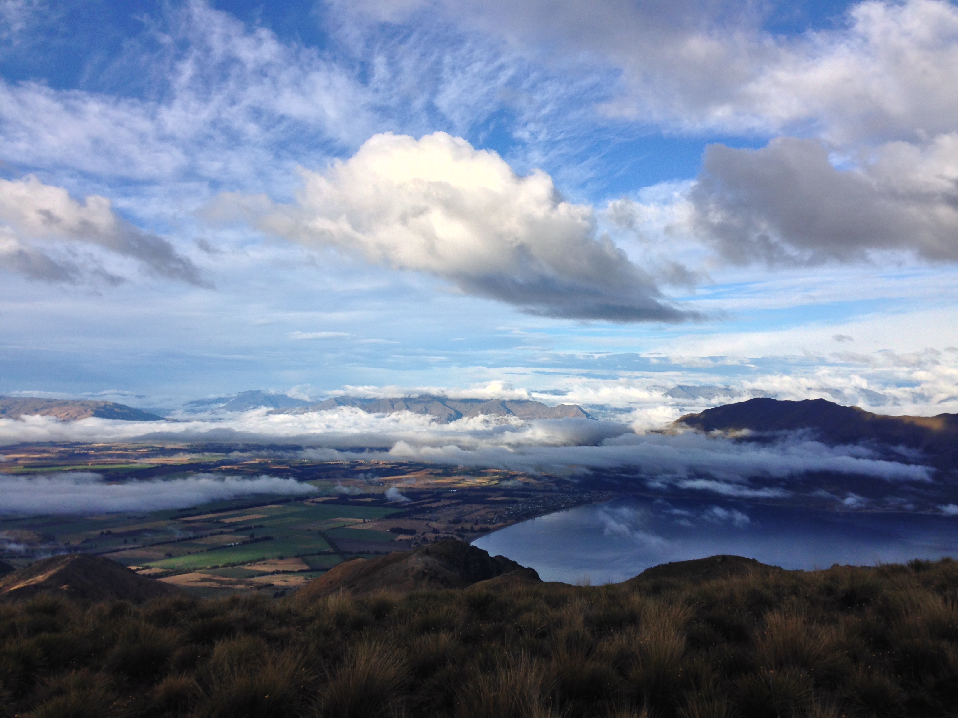 Hike the Breast Hill Track to Pakituhi Hut 