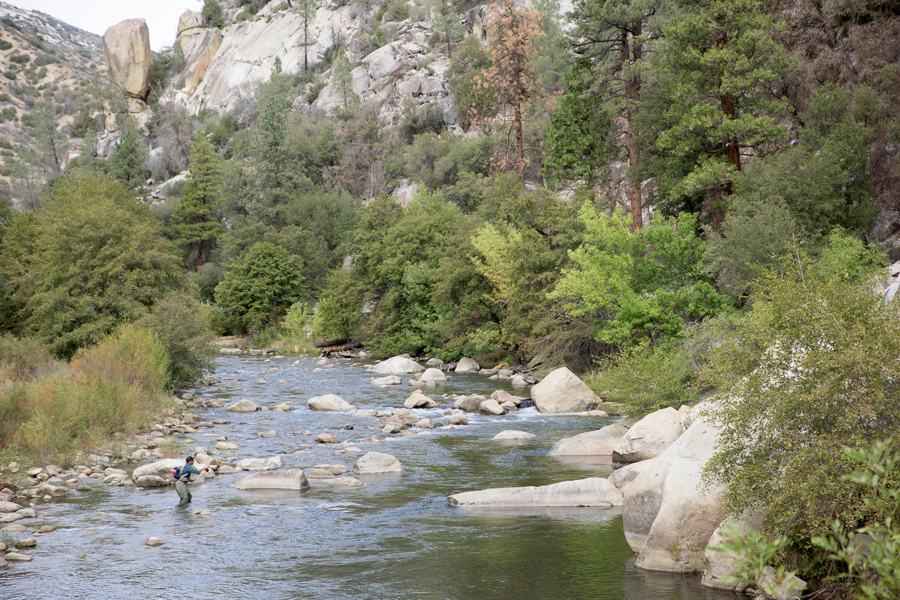 Fly Fish the Kern River above the Johnsondale Bridge
