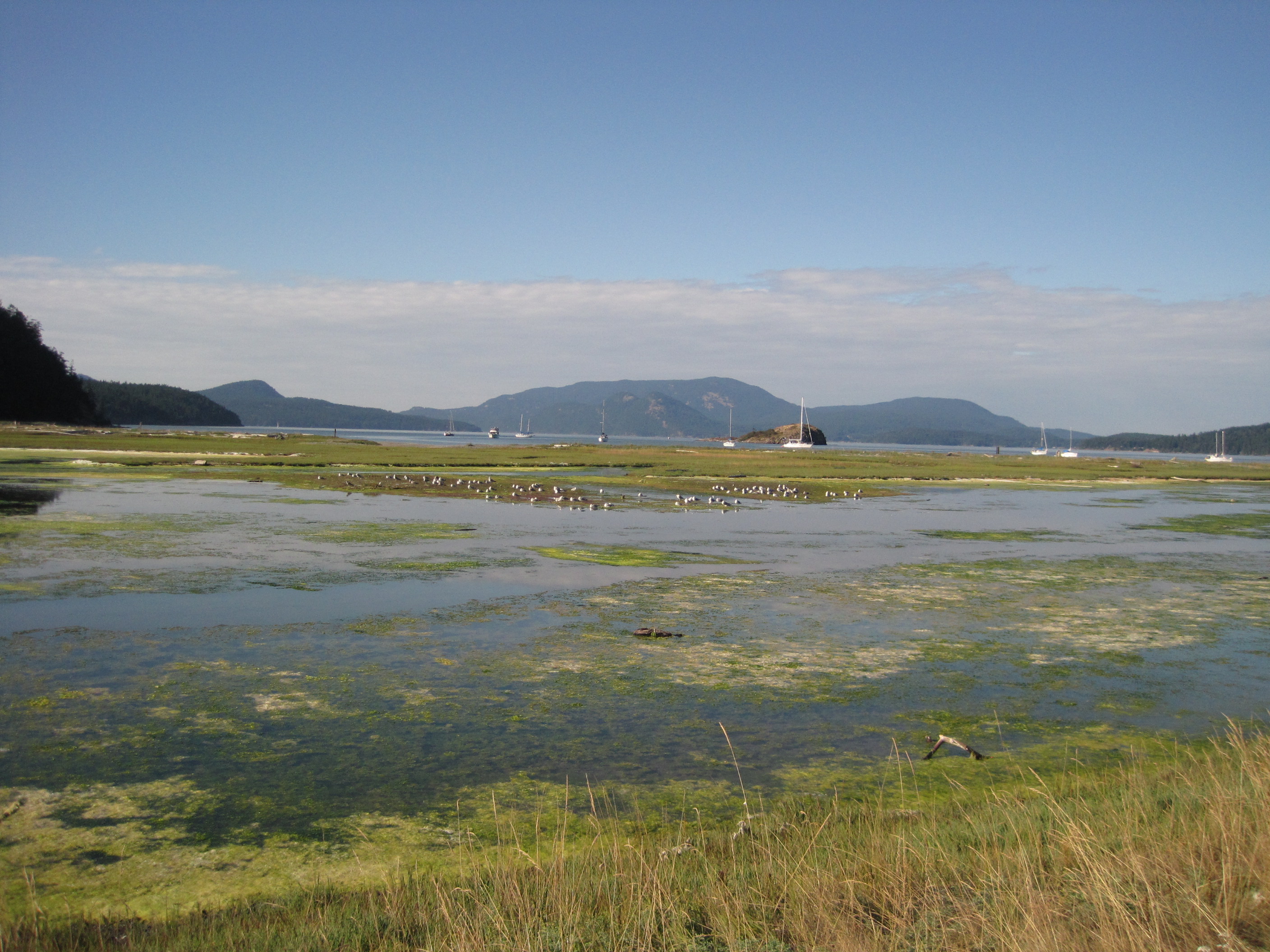 Hike to Spencer Spit