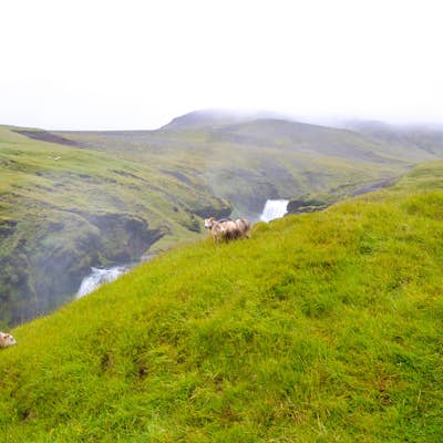 Hike Along the Fimmvörðuháls Trail from Skógar to Þórsmörk.