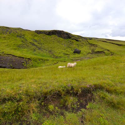 Hike Along the Fimmvörðuháls Trail from Skógar to Þórsmörk.