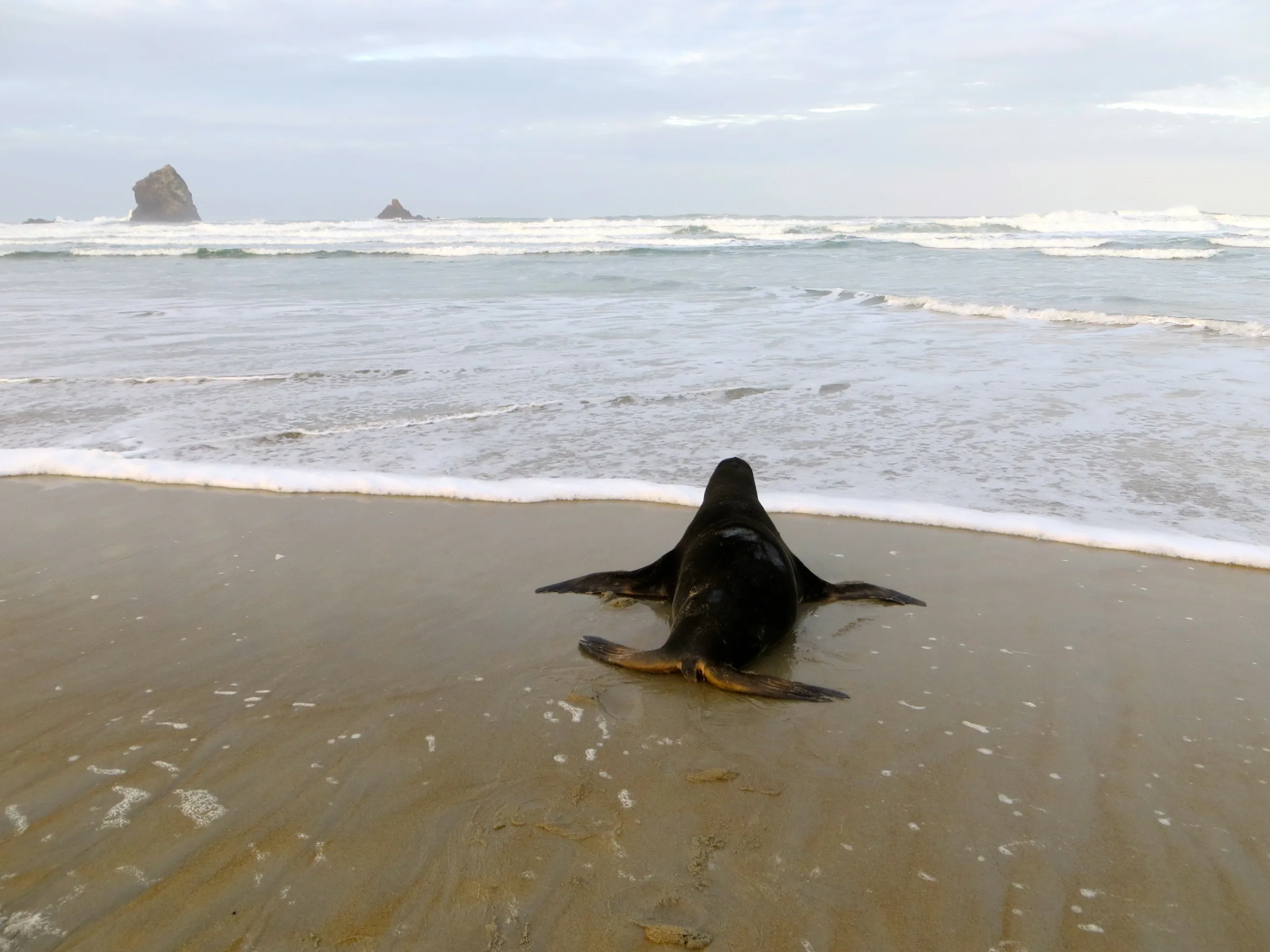 Explore Sandfly Bay