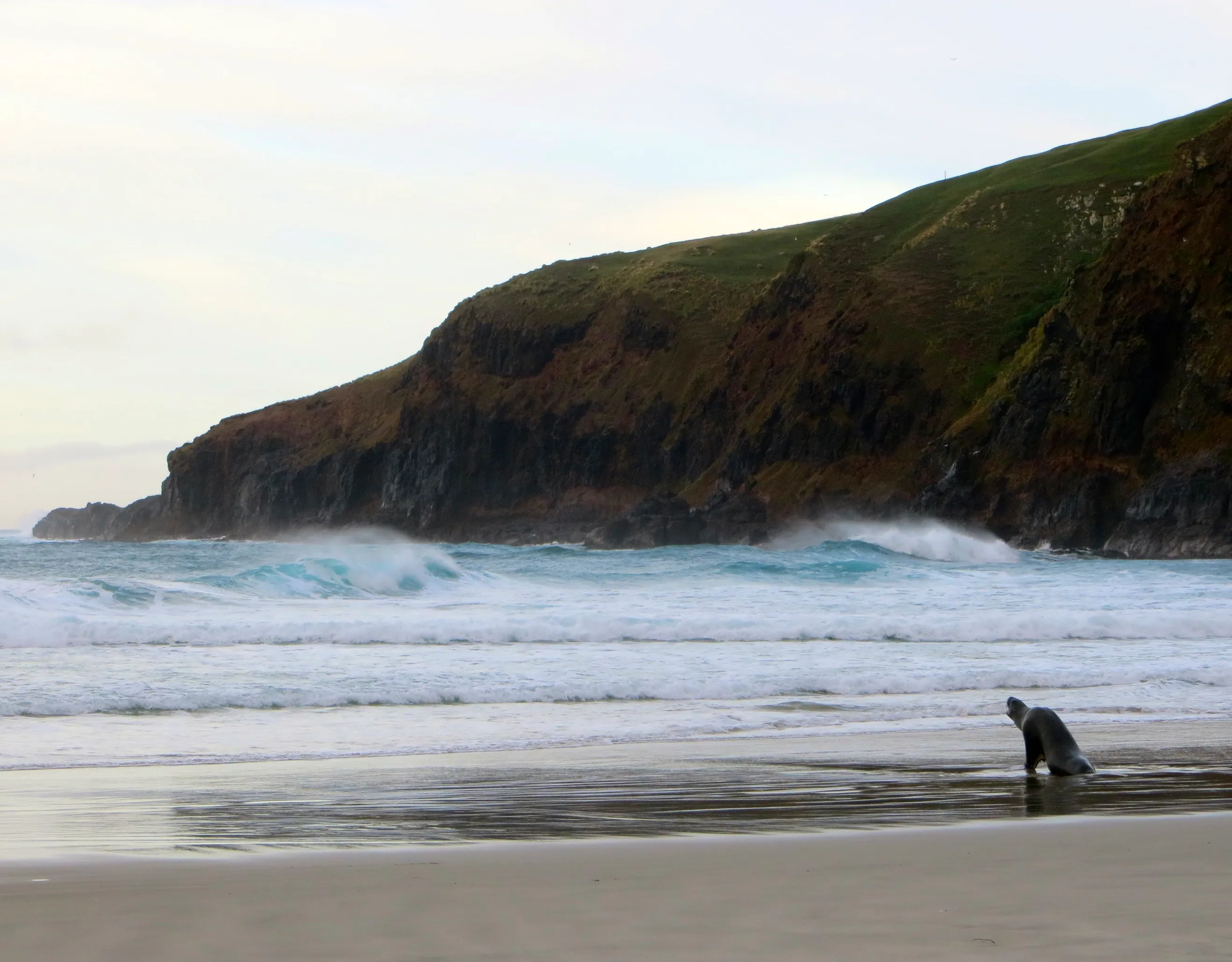Explore Sandfly Bay