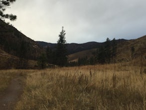 Trail Run the Hewlett Gulch Trail