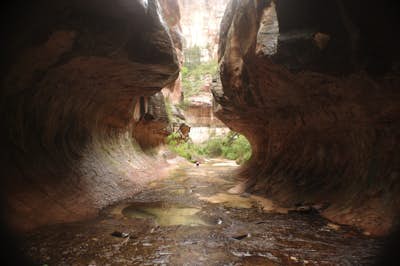 The Subway, Zion National Park (Bottom- Top Route)
