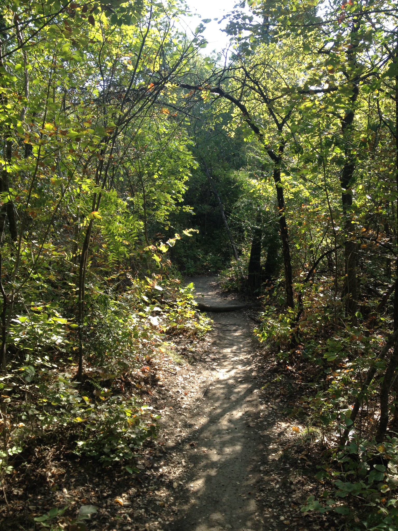 Hike the Dam Drop Loop