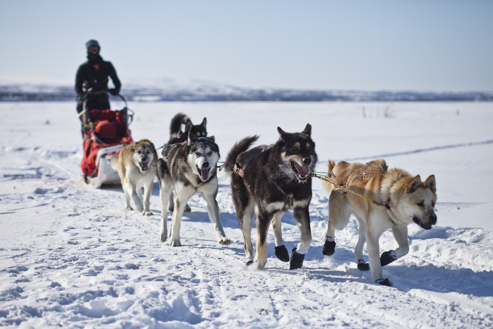 Winter Camp at Wonder Lake