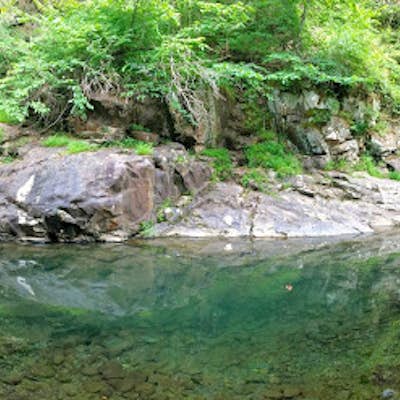 Explore Four Different Swimming Holes at Moorman's River