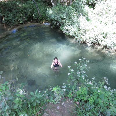 Swim at the Base of Falling Spring Falls