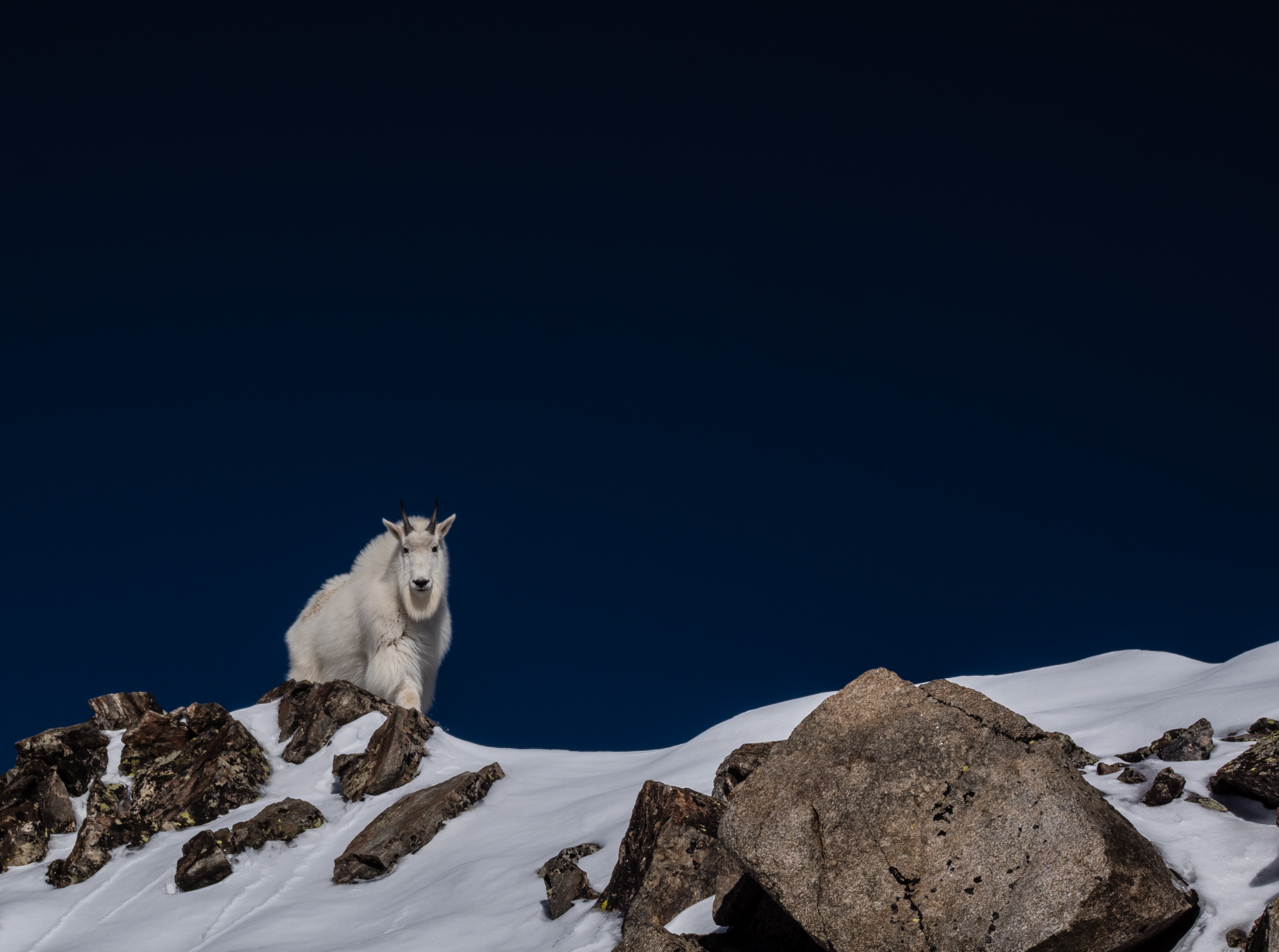 Winter Climb of North Star Mountain 