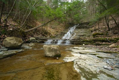 Hike the Six Mile Creek Natural Area