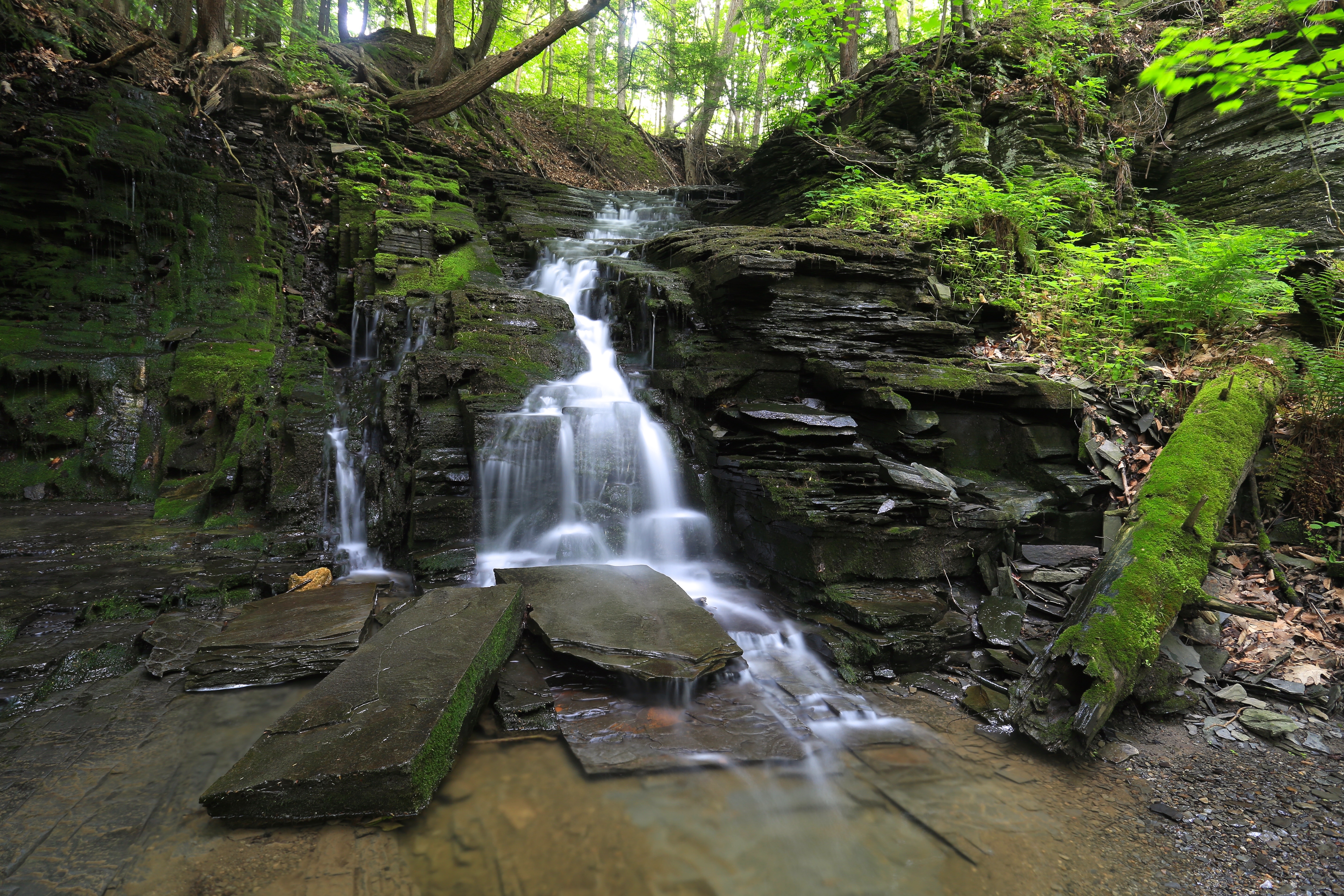 Hike the Six Mile Creek Natural Area