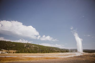 Drive Yellowstone in Half-Day 
