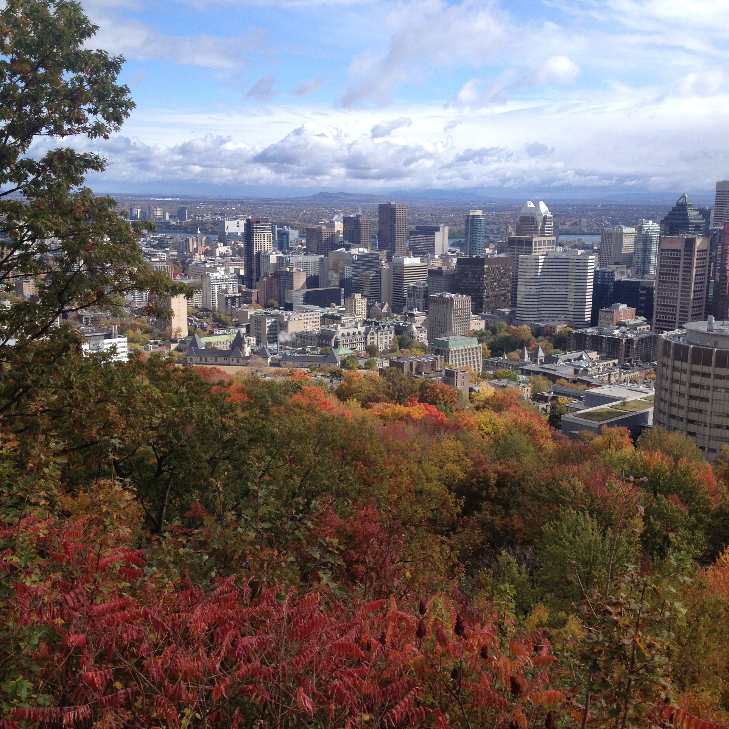 Mount Royal