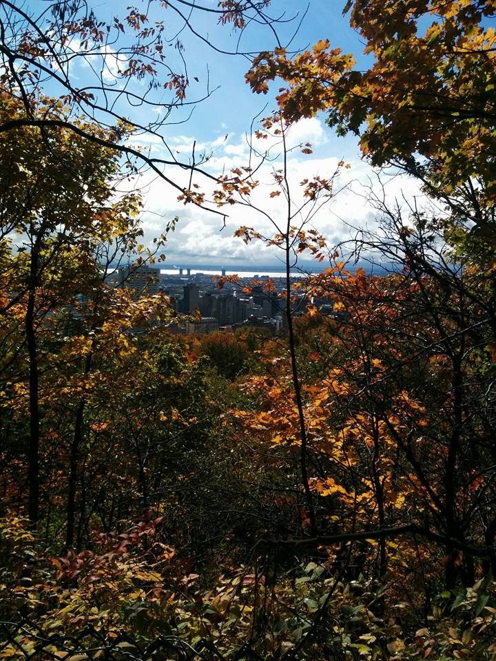 Mount Royal