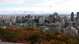 Hike Mont Royal