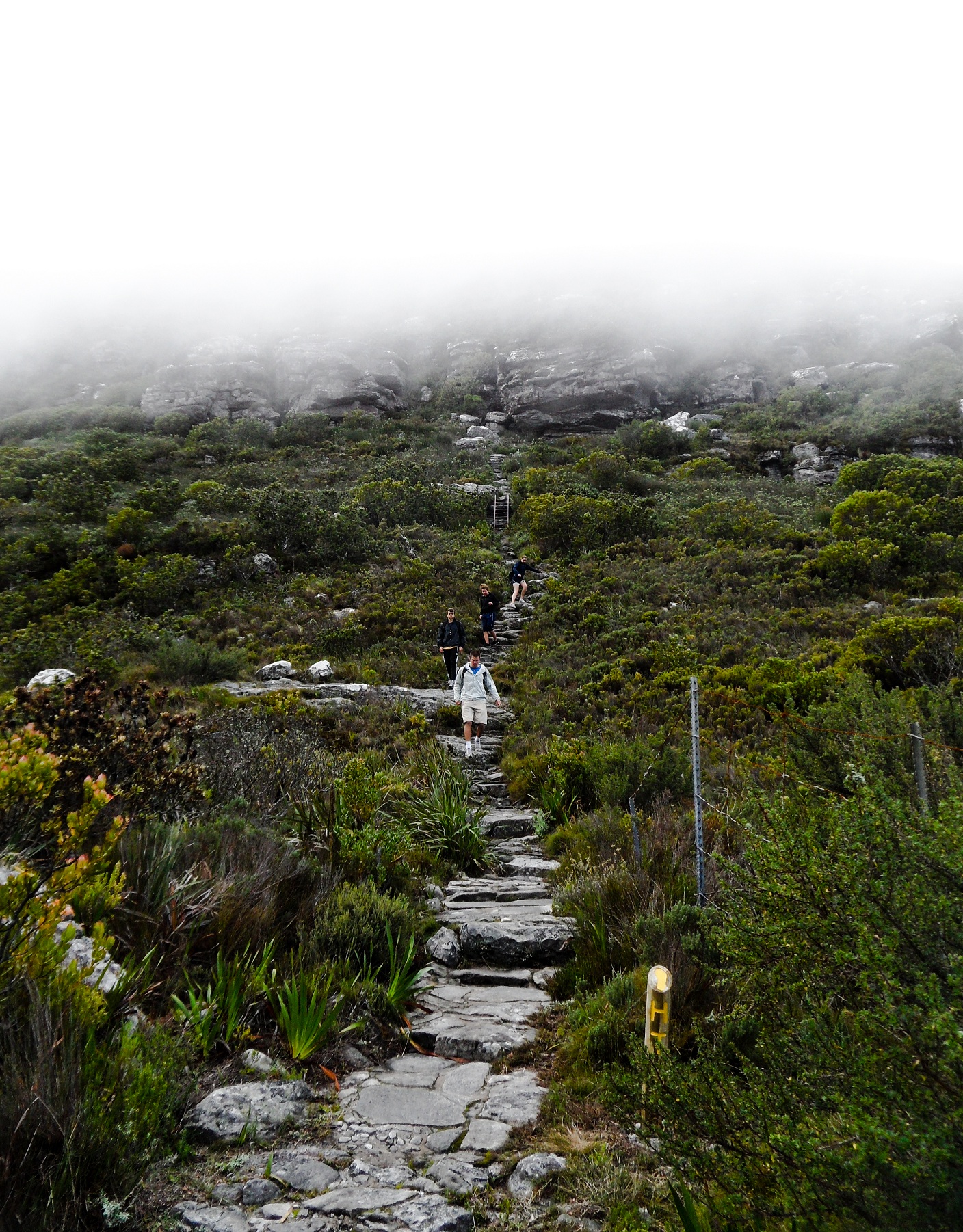 Table Mountain, Cape Town