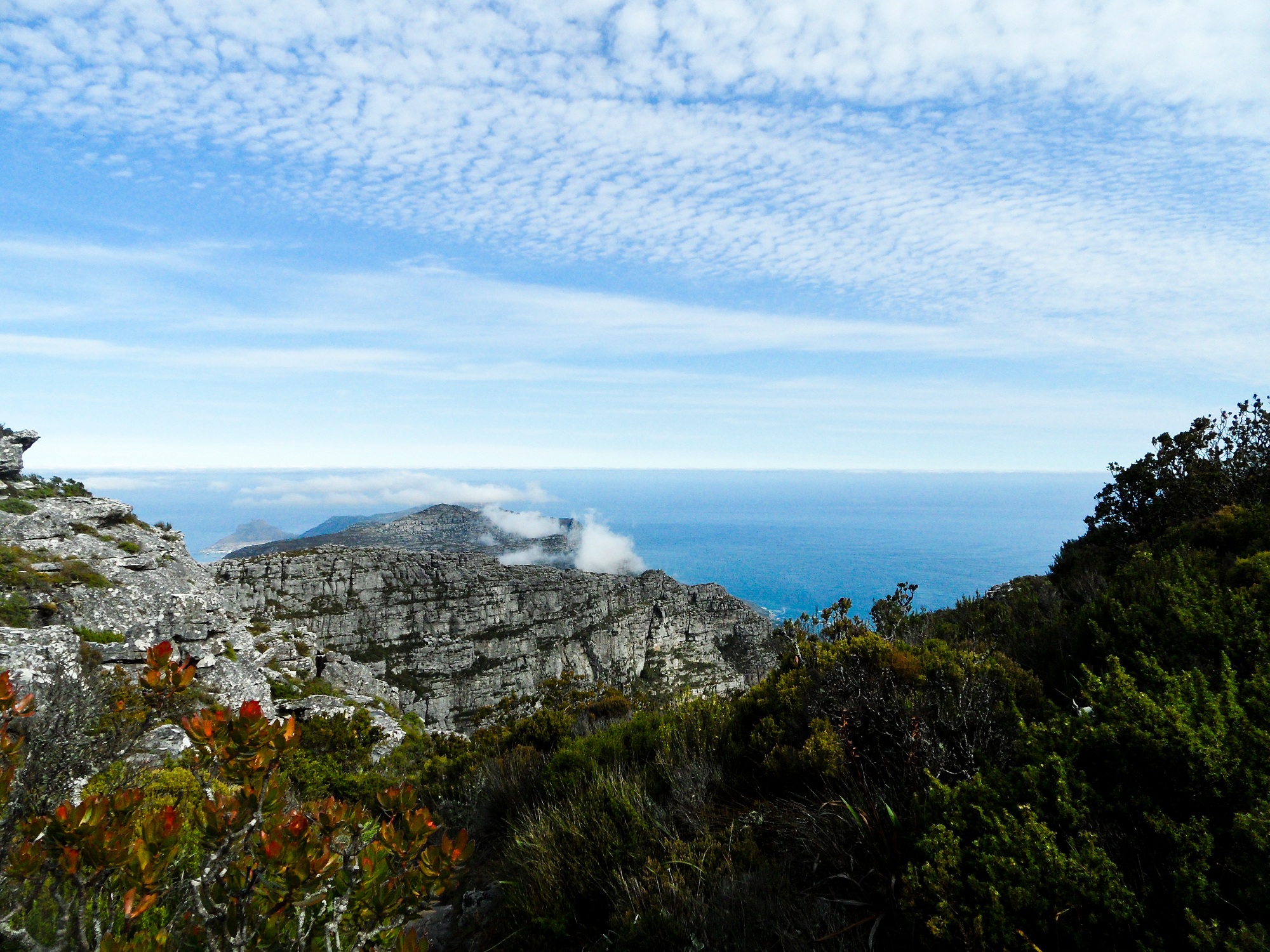 Table Mountain, Cape Town