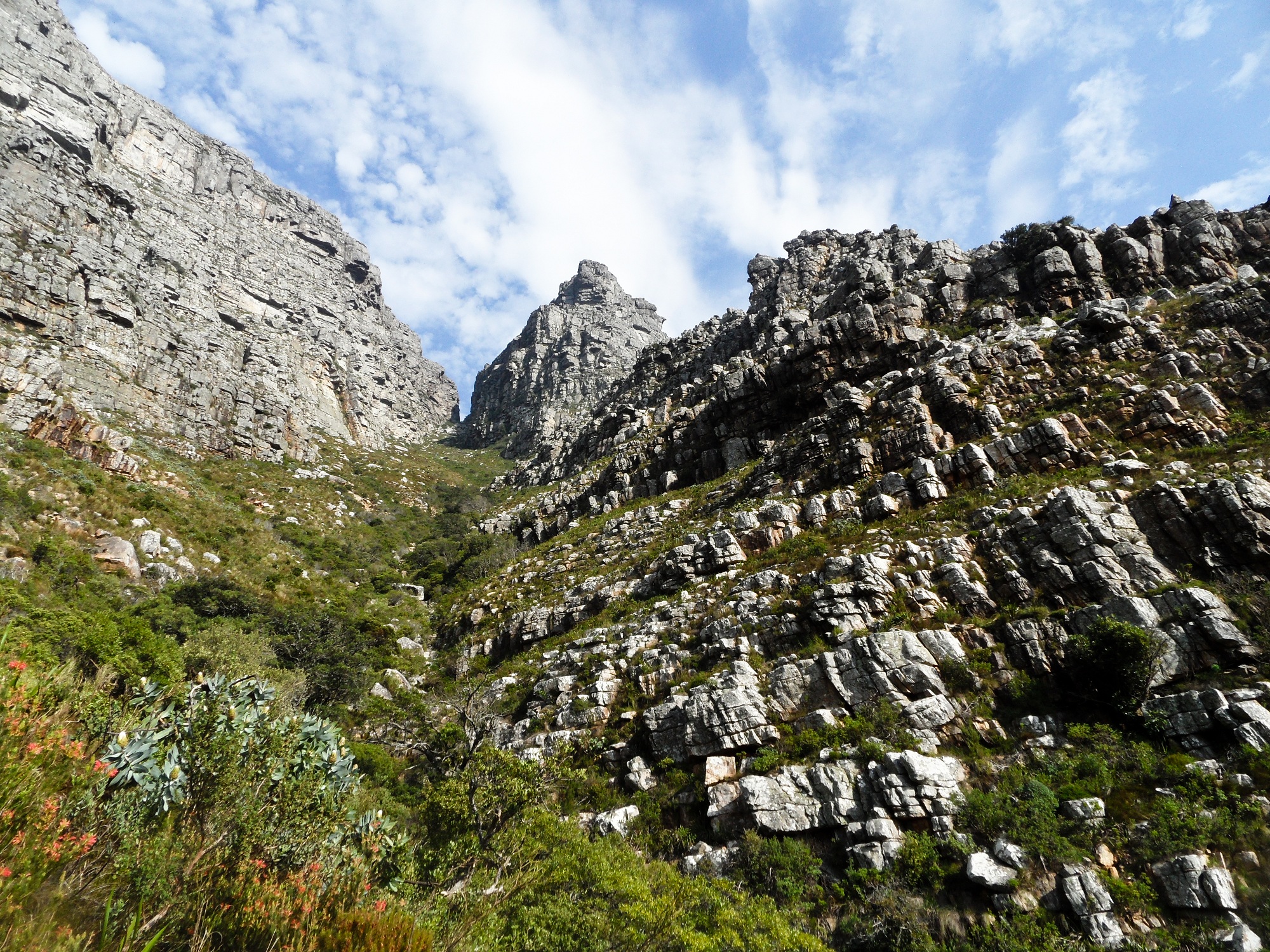Table Mountain, Cape Town