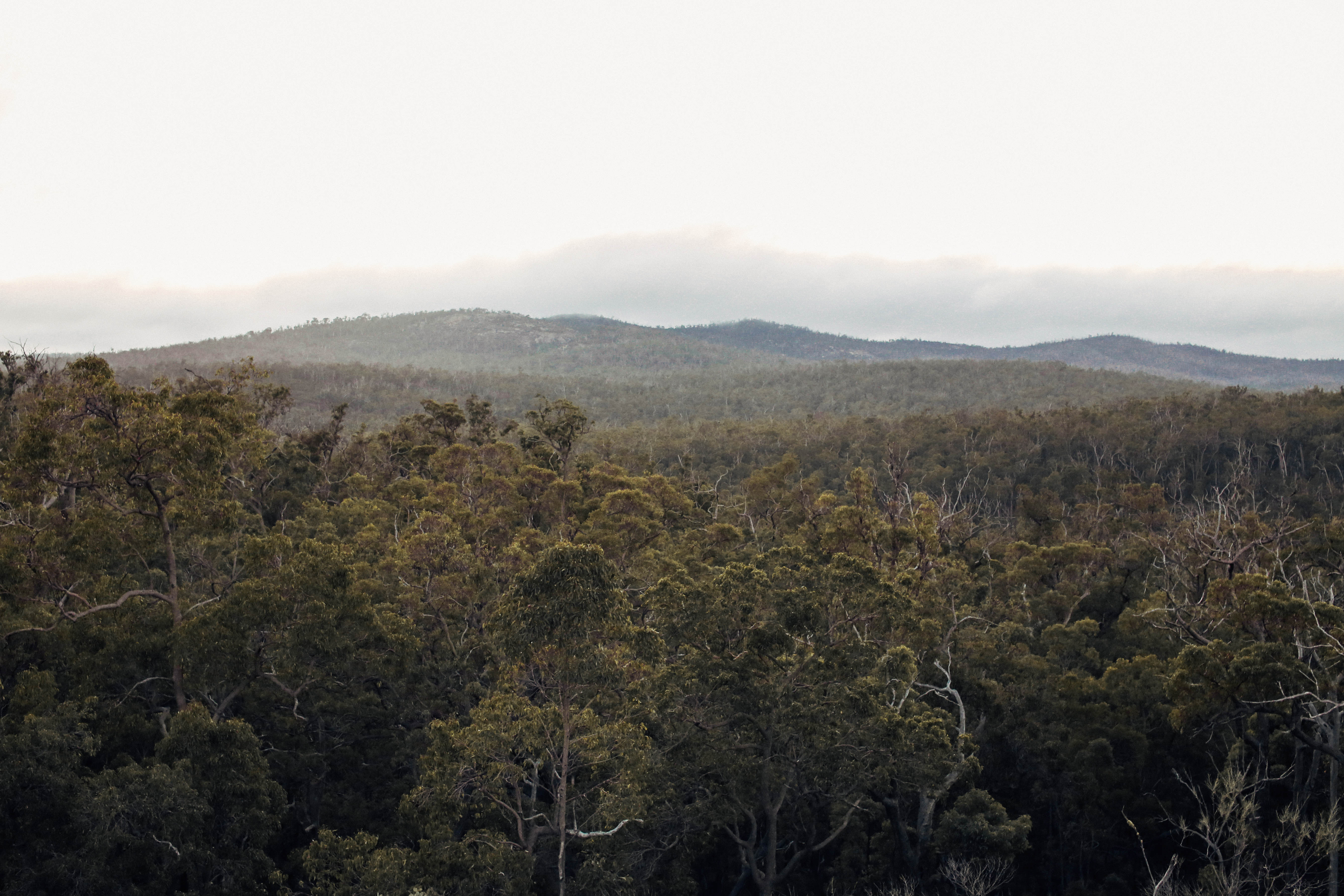 Hike Sullivan's Rock to Monadnocks