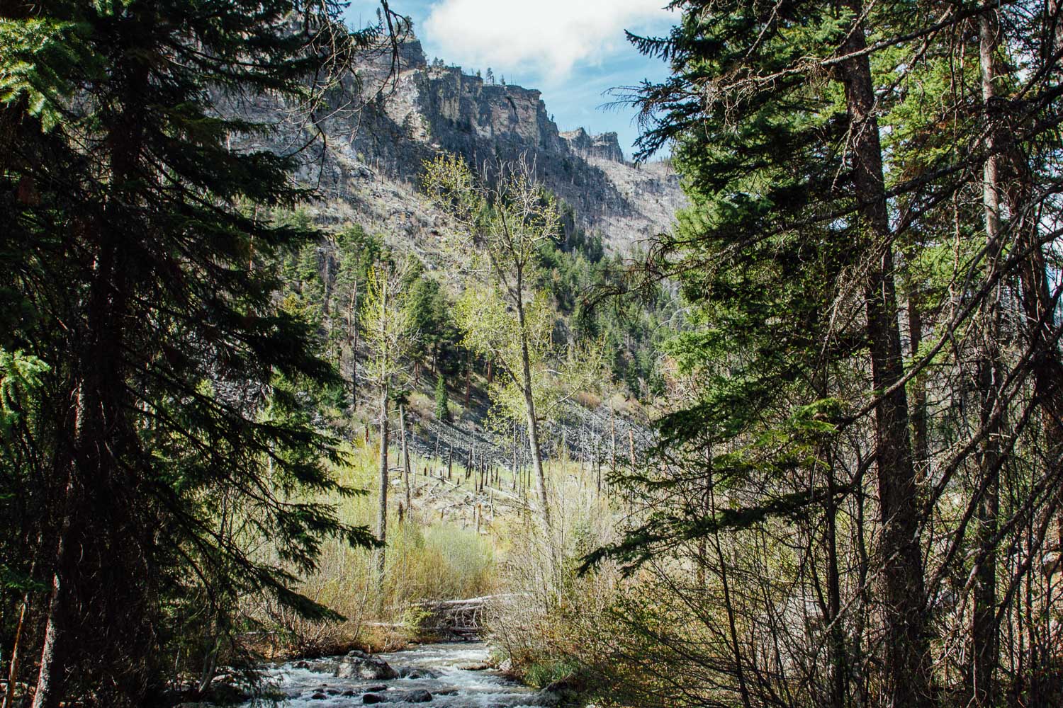 Hike to Mill Creek Falls