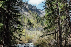 Hike to Mill Creek Falls