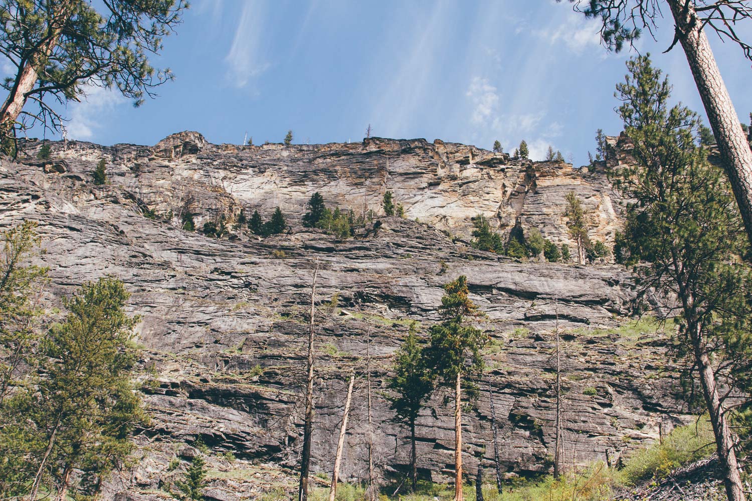 Hike to Mill Creek Falls