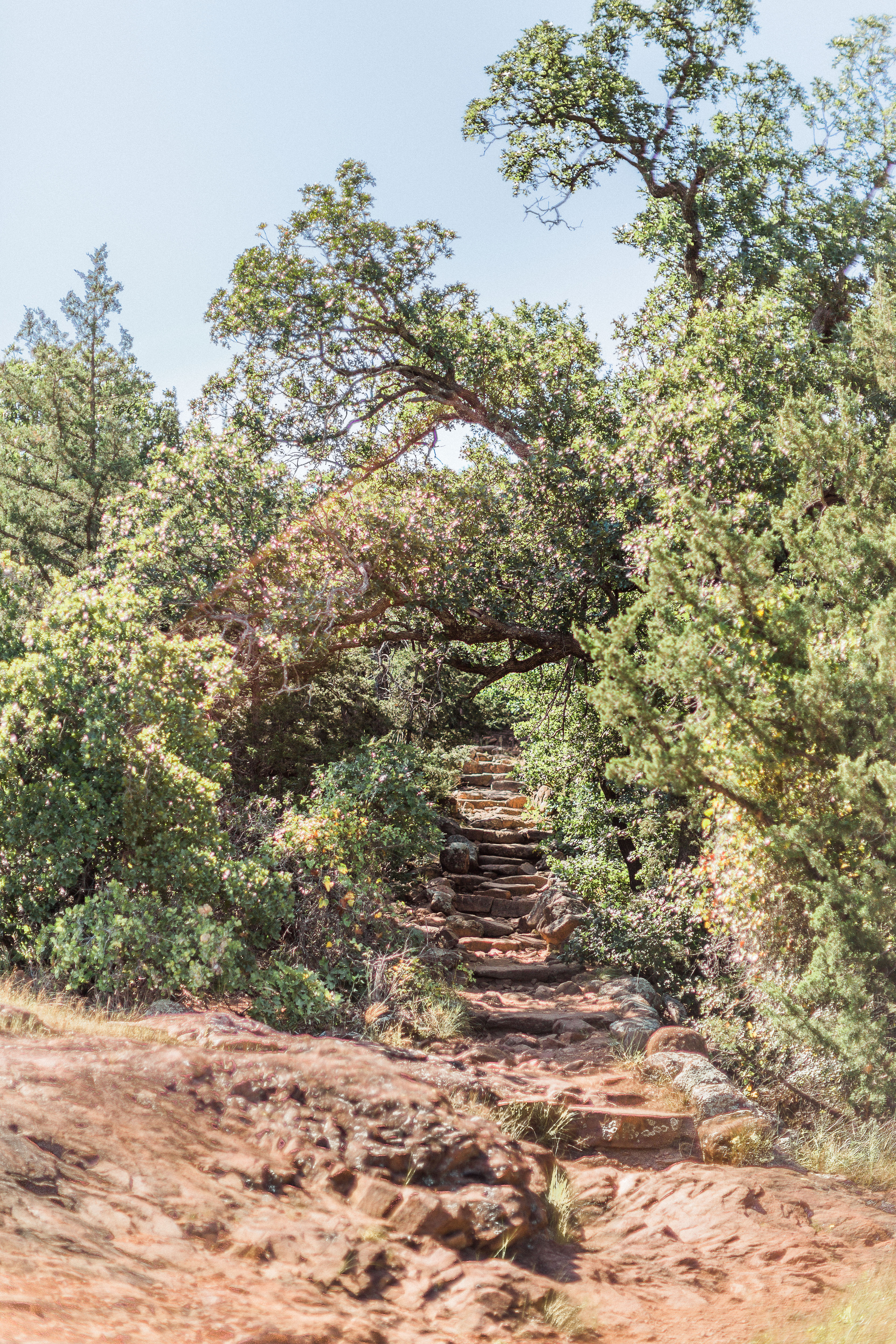 Elk Mountain