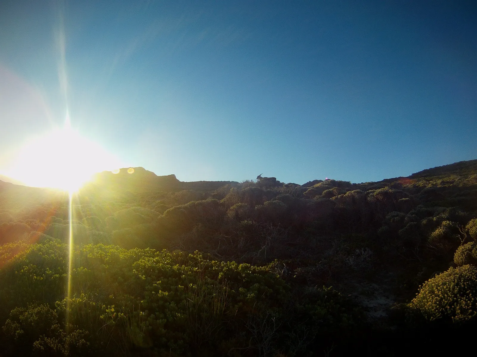 Hike to Diaz Beach