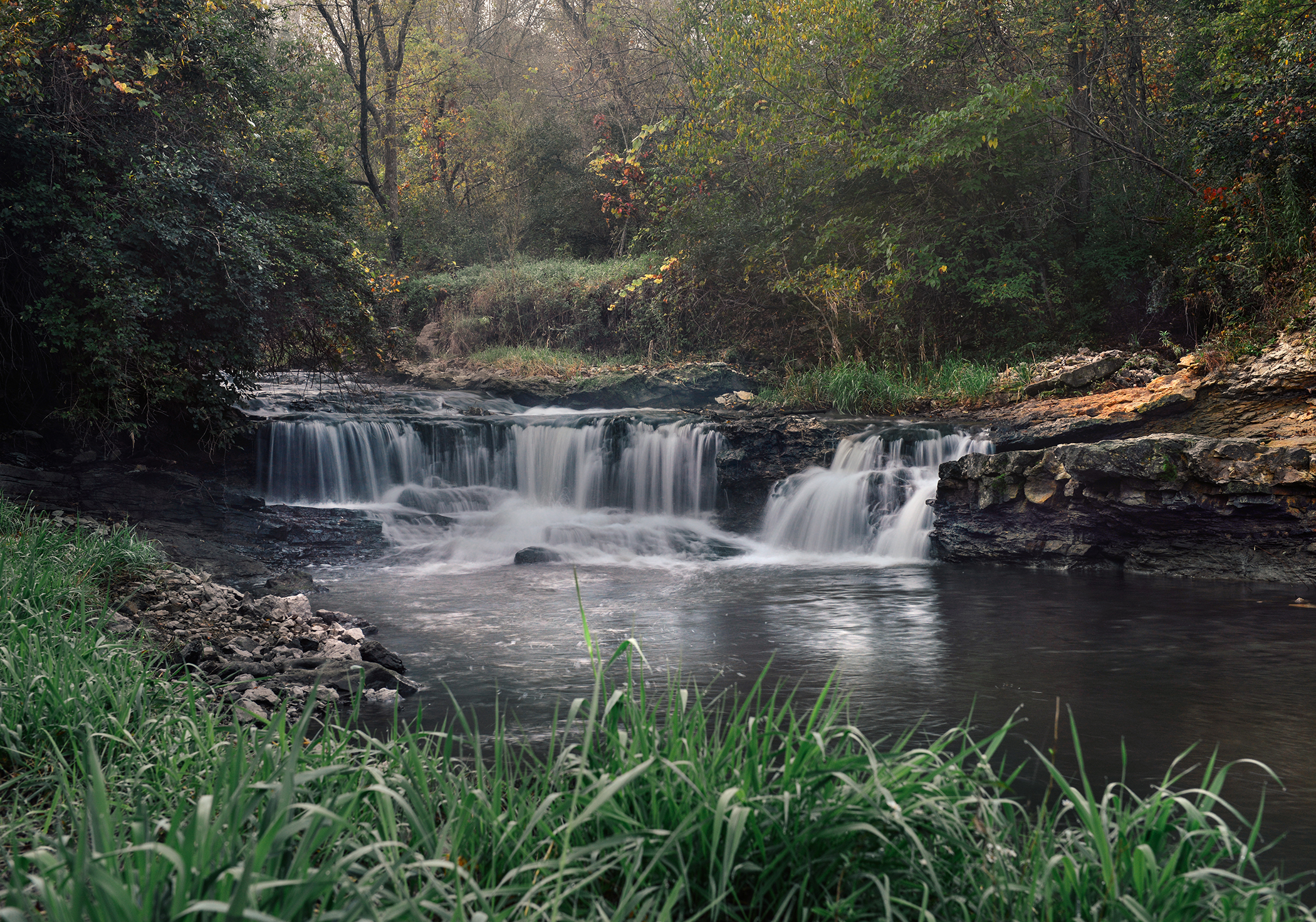 Briggs Woods Waterfalls