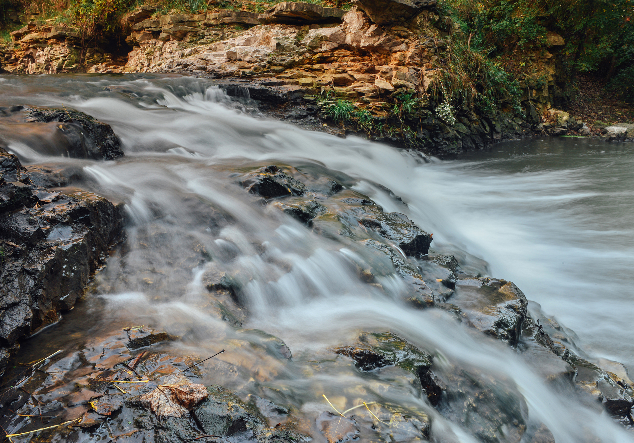 Briggs Woods Waterfalls