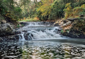 Photograph the Briggs Woods Waterfalls