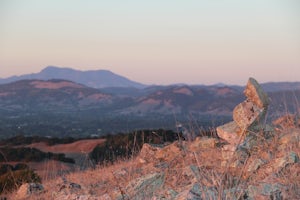 Taylor Mountain Loop