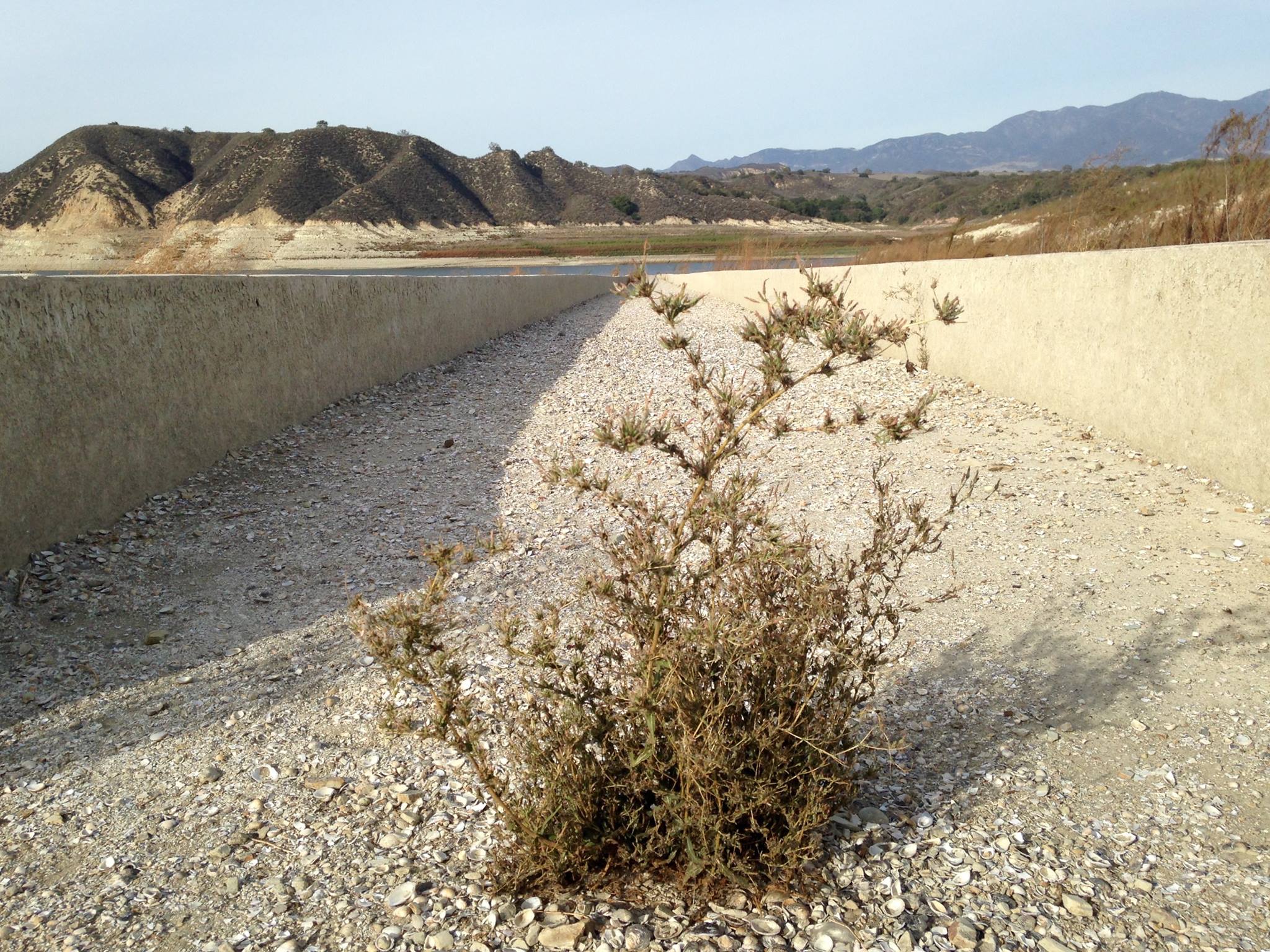 Camp at Lake Cachuma