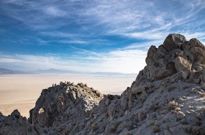 Climb Old Razorback Mountain