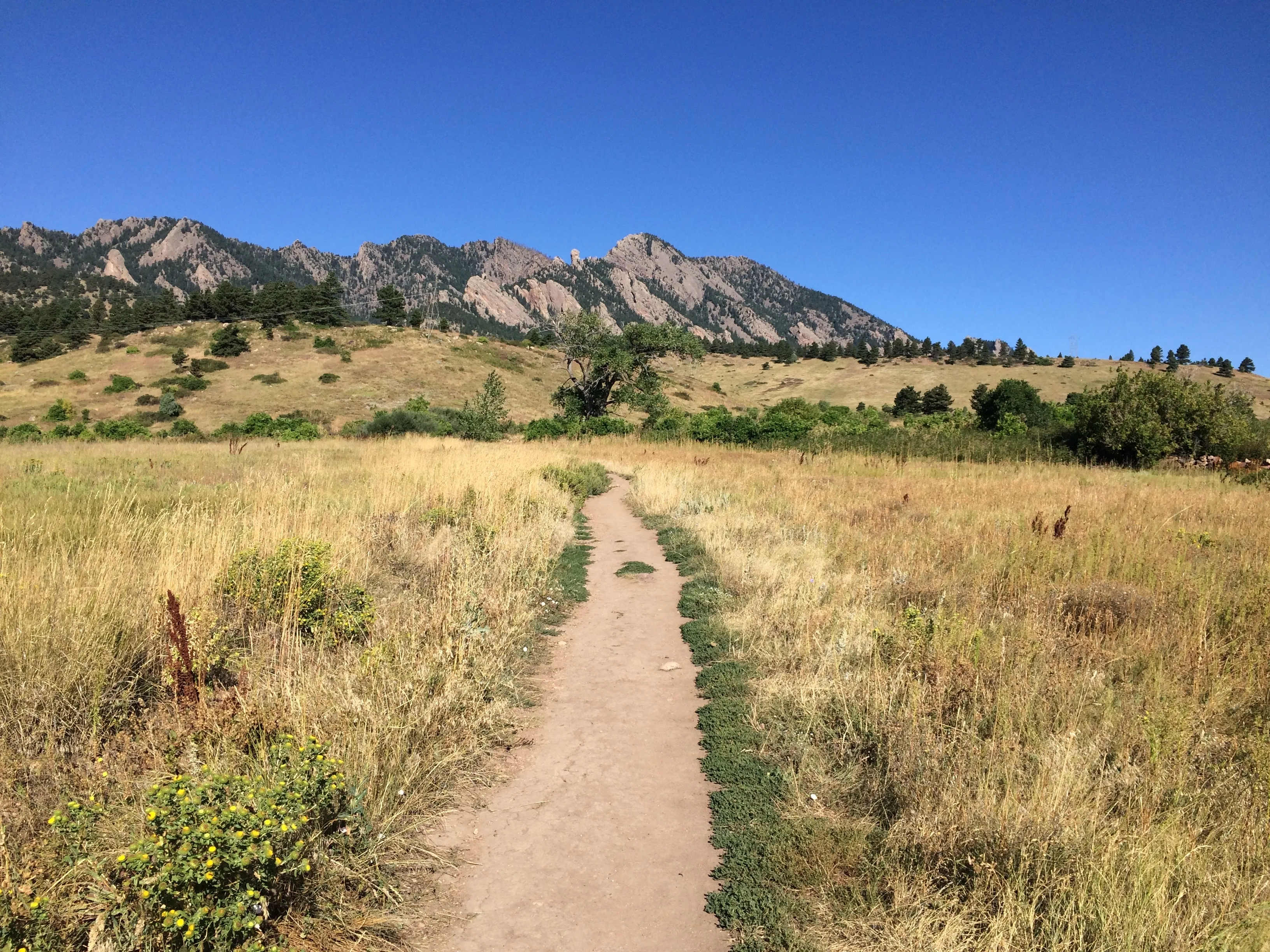 Hike the Big Bluestem Trail Loop