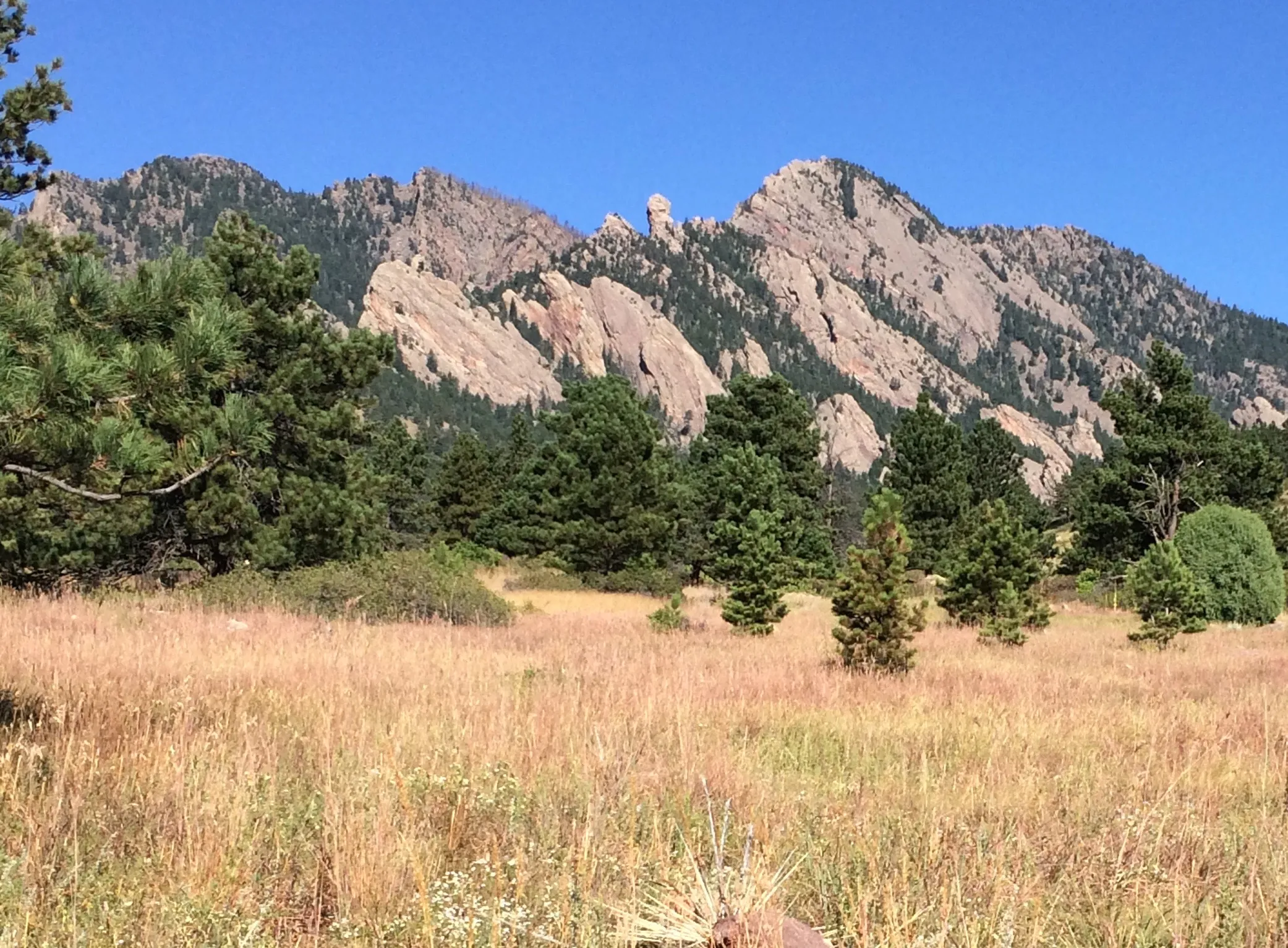 Hike the Big Bluestem Trail Loop