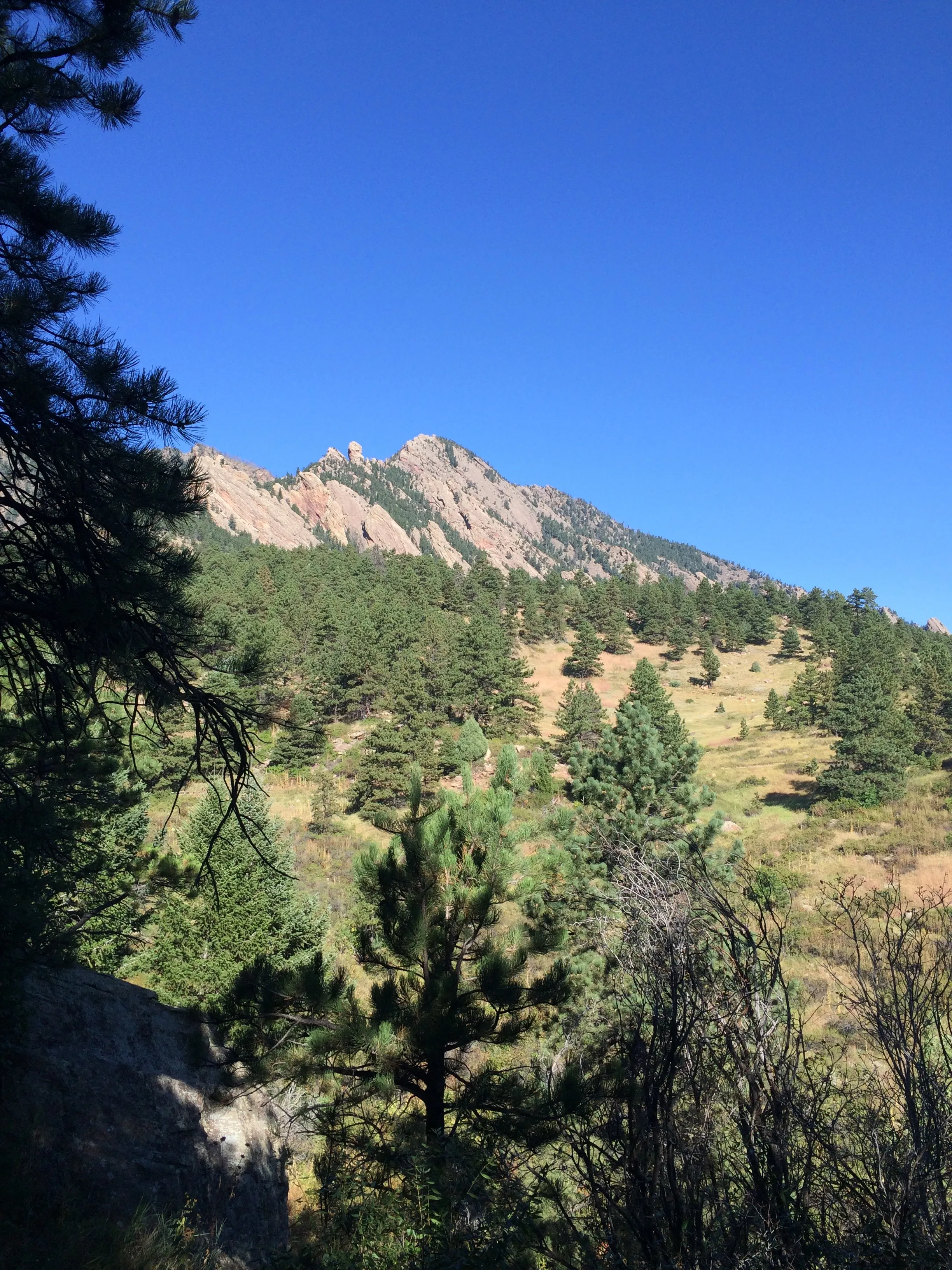 Hike the Big Bluestem Trail Loop