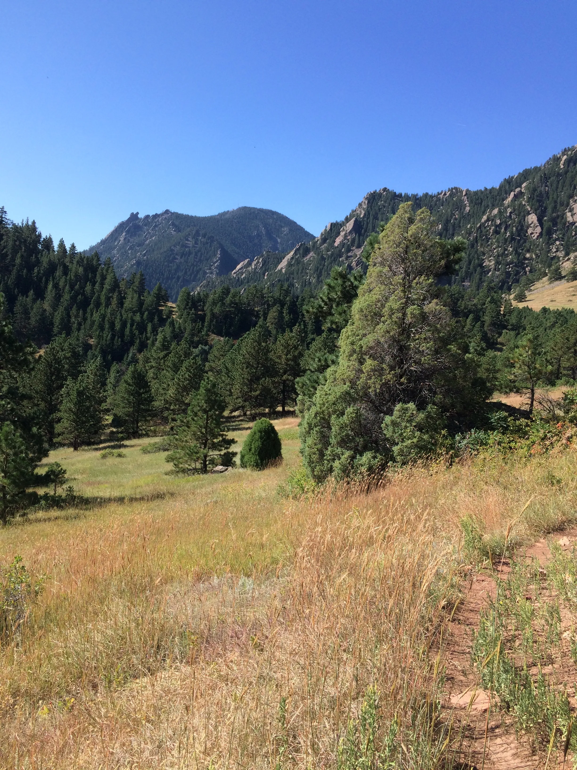 Hike the Big Bluestem Trail Loop