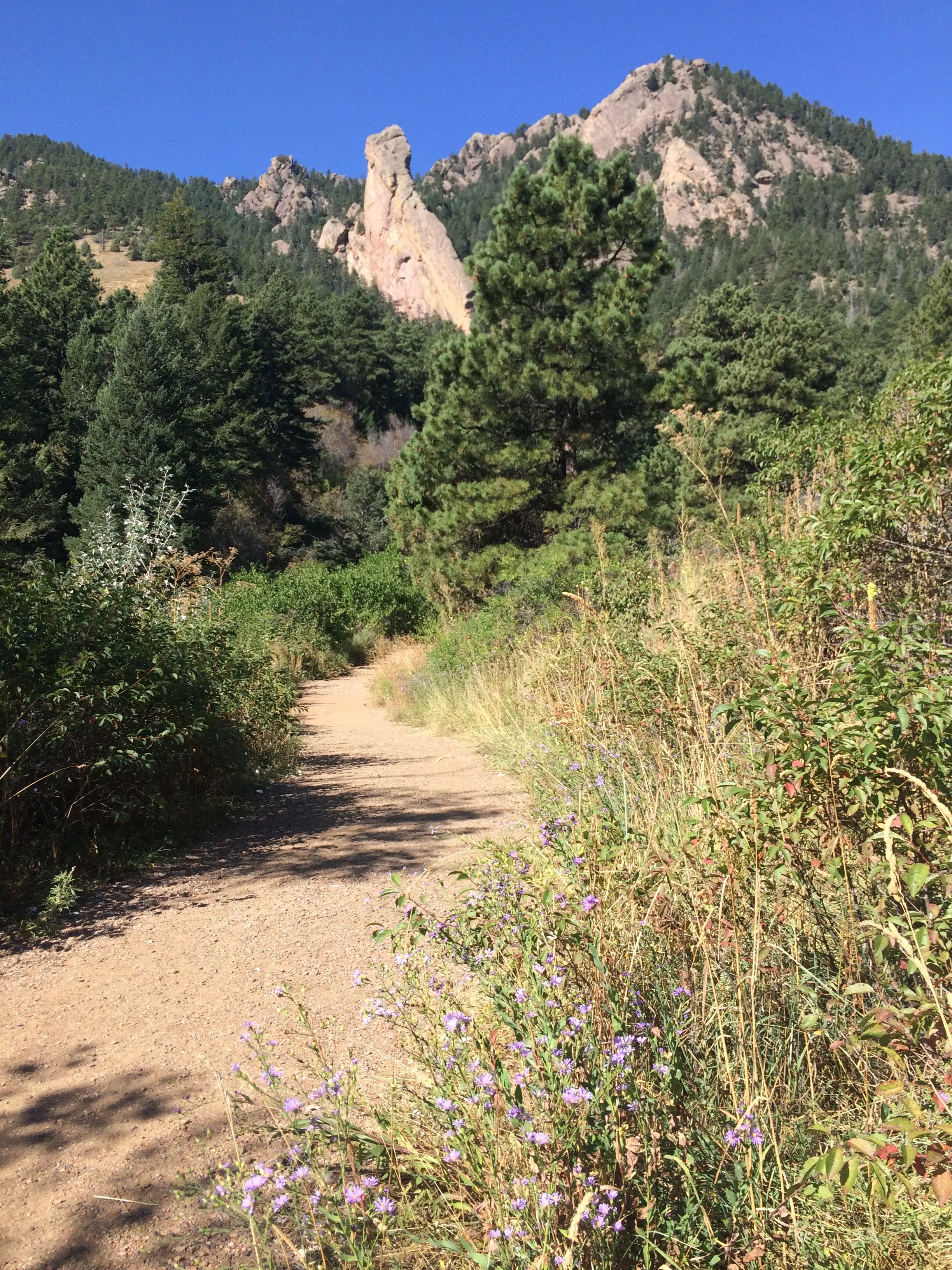 Hike the Big Bluestem Trail Loop
