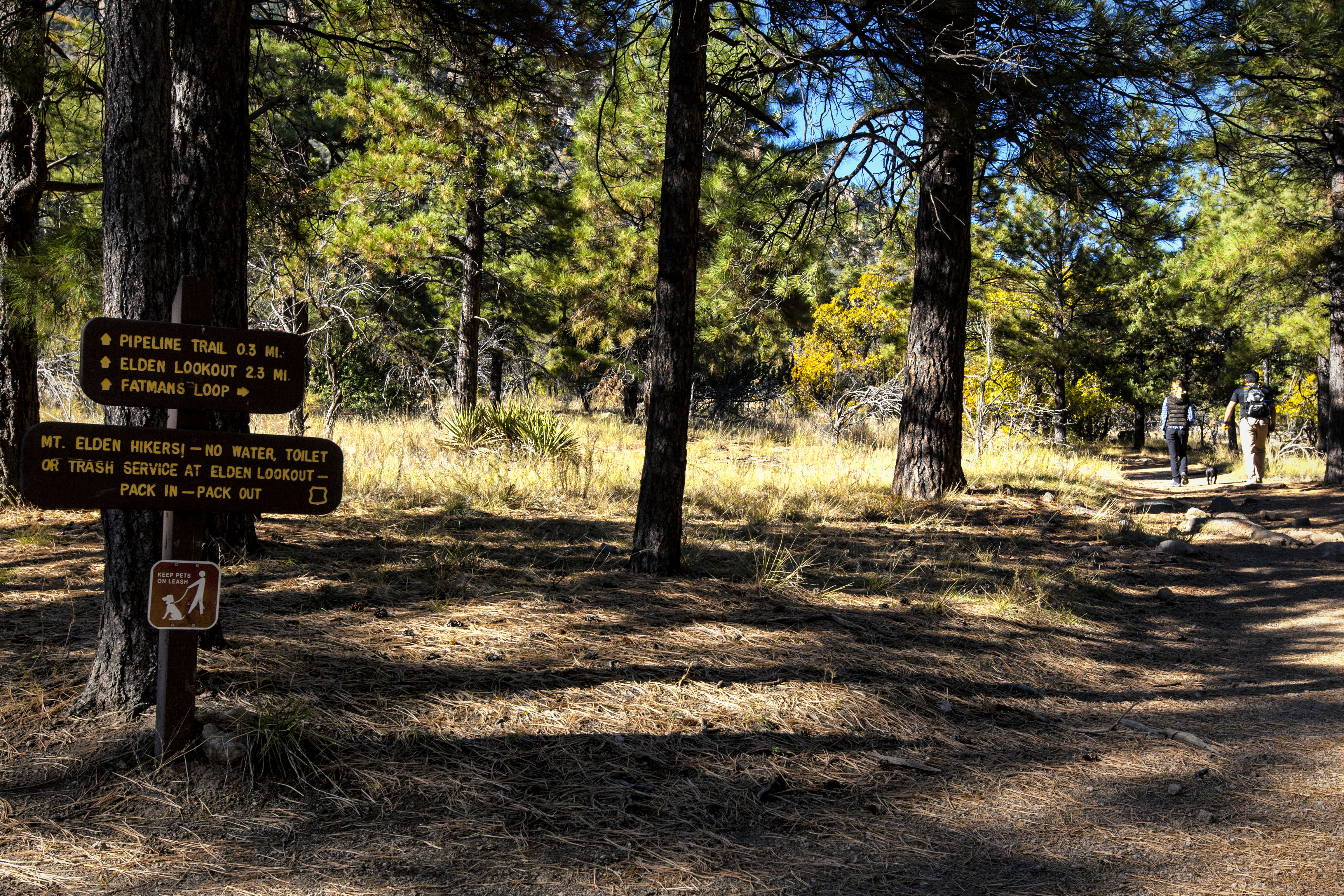 Fatman's Loop